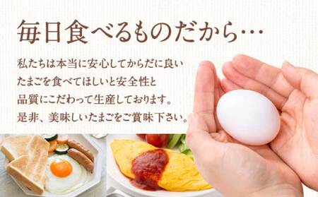 卵 朝採り さくら たまご 90個（Mサイズ）卵 10個破損補償含む 鶏卵 赤鶏の卵