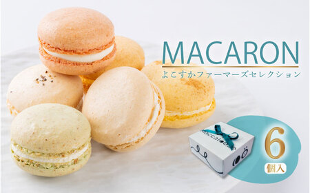 マカロン6個セット[AKGS001]マカロン
