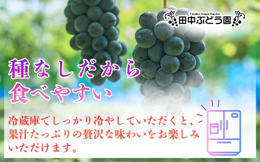 【2026年8月中旬頃先行予約】ぶどう 巨峰 ぶどう詰め合わせ 田中ぶどう園 厳選 巨峰 約2.0kg（4～5房） 詰め合わせ 大粒 種なし ぶどう ブドウ きょほう フルーツ 果物 農園直送 贈答 