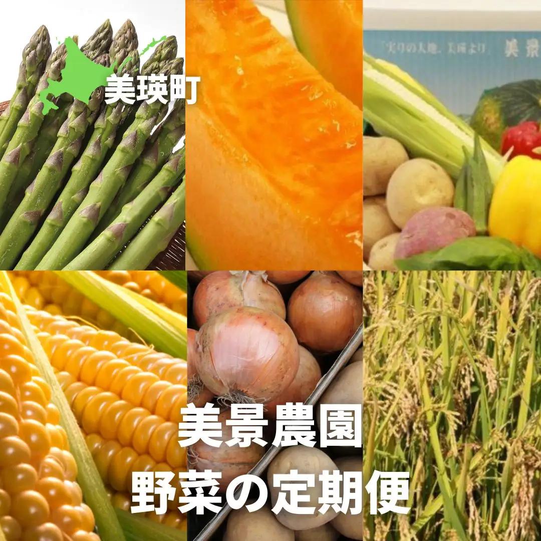 野菜 定期便【令和9年産 先行予約】6回便 野菜セット 美景農園
