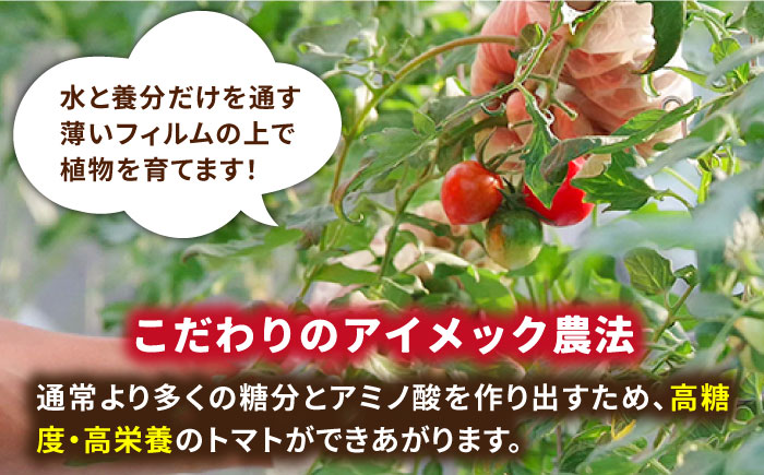 あま壱岐 ミディトマト 約48粒 《壱岐市》【壱岐の潮風】 トマト 野菜 [JAE009] 11000 11000円