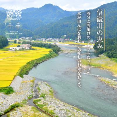 ふるさと納税 十日町市 魚沼産 コシヒカリ 精米 10kg 産地直送 新潟県十日町市 |  | 02