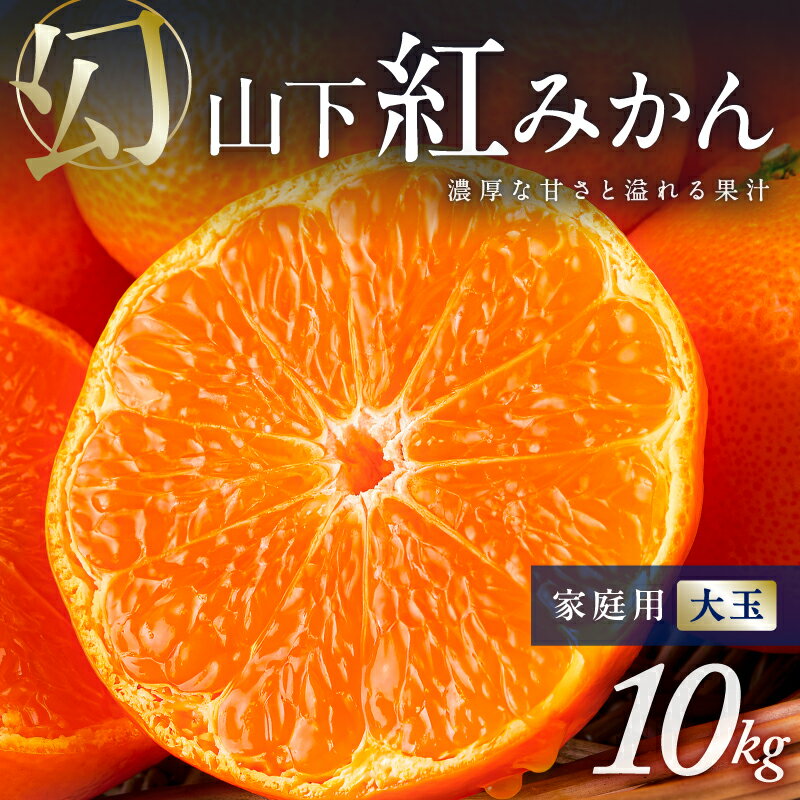 【ふるさと納税】【数量限定】辻本農園 訳あり 山下紅みかん 家庭用 大玉 10kg キズあり | フルーツ 果物 柑橘 みかん 山下紅みかん 温州みかん 大玉 訳あり 甘い 高級 数量限定