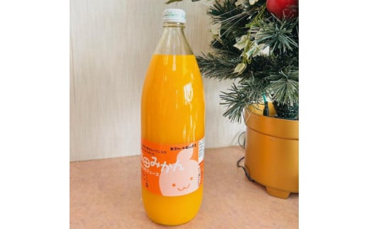 
            【無添加】有田みかん100%のジュース1,000ml×1本 みかんジュース 濃厚 柑橘 果物 フルーツ 甘い 100％ストレートジュース 【MS104】
          