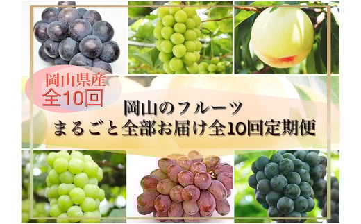 Bm-1【令和8年発送・先行予約】岡山のフルーツまるごと全部お届け全10回定期便
