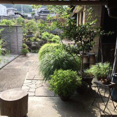 ふるさと納税 香川県 津山桧　盆景　〈黒鉢〉 |  | 03