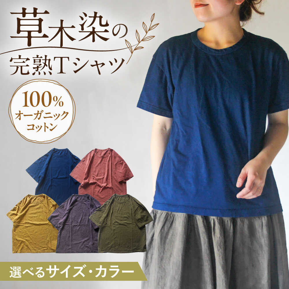 【ふるさと納税】【選べるカラー・サイズ】オーガニックコットン 完熟Tシャツ / 綿100　手染め 草木染め Tシャツ 半袖 トップス ファッション インナー レディース メンズ ユニセックス ギフト 贈答 プレゼント / 大村市 / ISTIST[ACZW056]