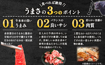  【A4～A5】くまもと黒毛和牛 切り落とし 1kg 《30日以内に出荷予定(土日祝除く)》 牛肉 くまもと黒毛和牛 黒毛和牛 冷凍庫 切り落とし