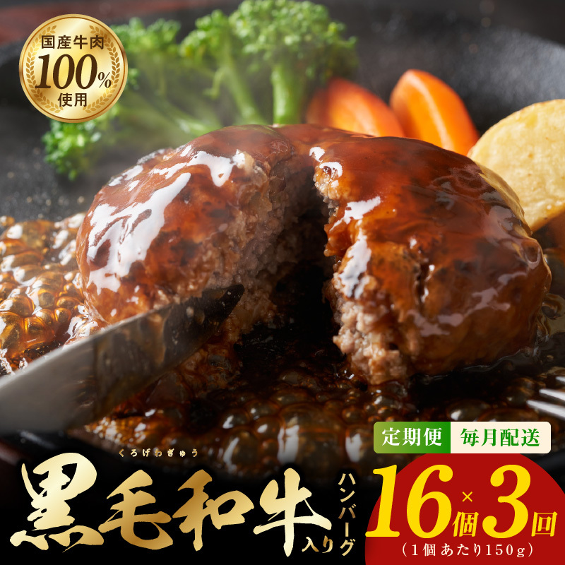 黒毛和牛入り 国産牛肉100％ ハンバーグ 定期便 16個×全3回 150gサイズ【毎月配送コース 個包装 ハンバーグ 牛肉 はんばーぐ 小分け 惣菜 冷凍 数量限定】 099Z376