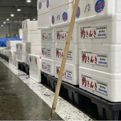 ふるさと納税 網走市 【網走産】”生”高級ブランド釣きんき 1尾【2025年5月より発送】 |  | 03