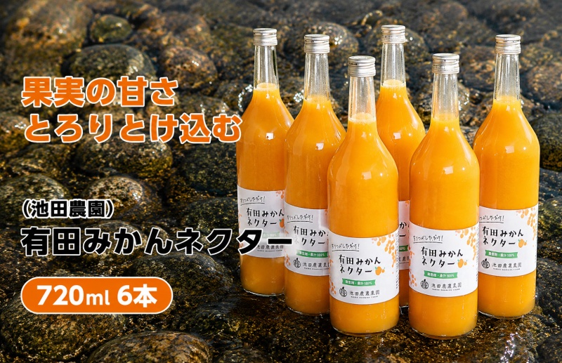 みかん ネクター 100％ ジュース / 温州みかん 有田みかん 果汁 無添加 柑橘 和歌山 20000円 720ml ※北海道・沖縄・離島への配送不可 //drink【ikd100-to720-6】
