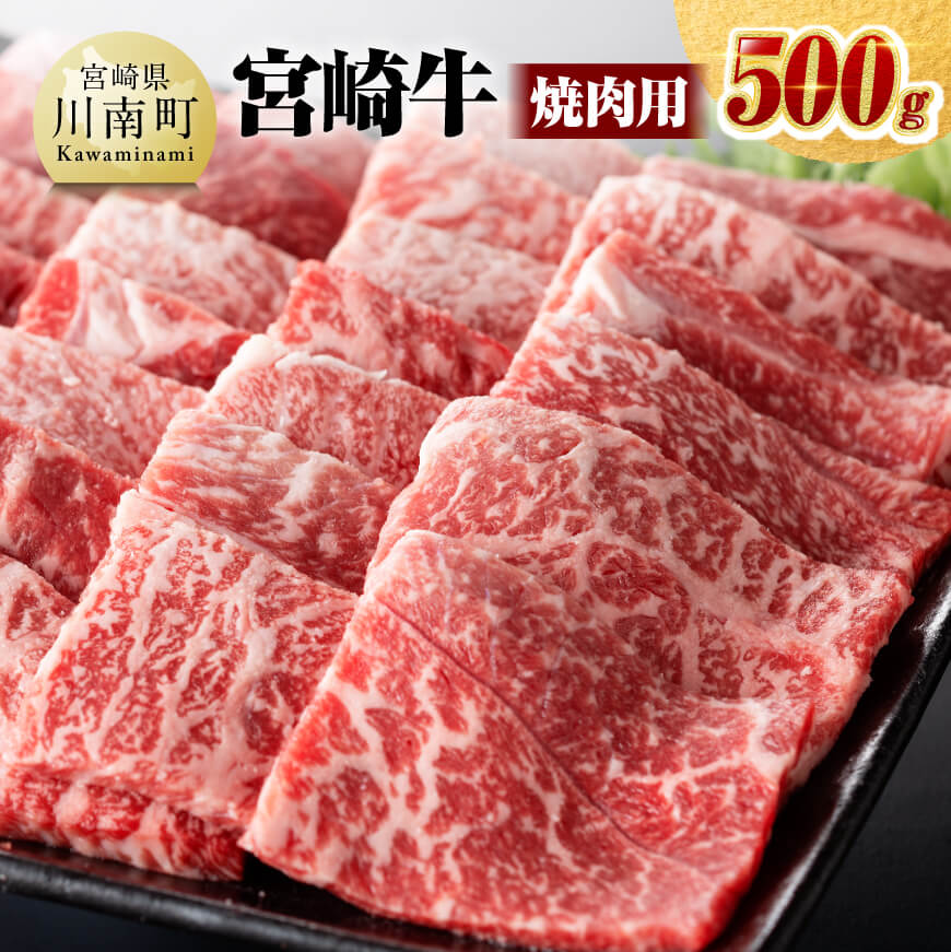 宮崎牛 焼肉用 500g　牛肉[D0640]