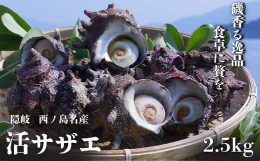活サザエ　