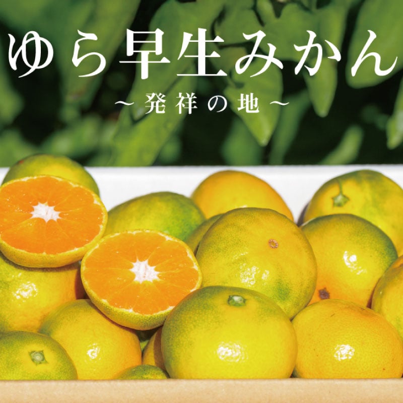 
            和歌山県産 ゆら早生みかん サイズおまかせ 約9キロ  農家直送［2025年10月中旬頃より順次発送予定］【kzmn006】
          