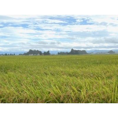 ふるさと納税 川西町 令和6年産 山形県産【はえぬき】精米 10kg(10kg×1袋) |  | 03
