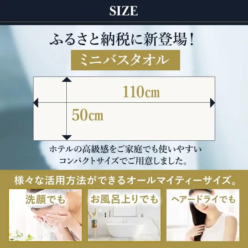 （今治タオル）すごいタオル ミニバスタオル 2枚 （カーキ）