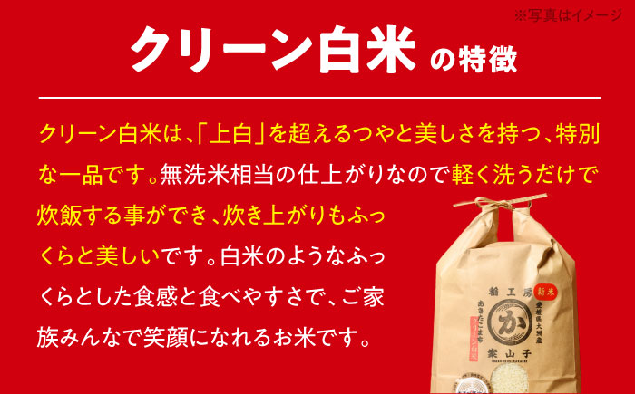 【全6回定期便】【シェフの目線】栽培期間中農薬不使用！旬のお野菜セット×クリーン白米【ふるさと納税限定】　愛媛県大洲市/有限会社ヒロファミリーフーズ [AGBX010]サラダ カレー トマト 料理 ブ