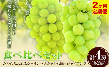 【2回定期便】たたらみねらる 食べ比べセット 各2房 マスカット 瀬戸ジャイアンツ