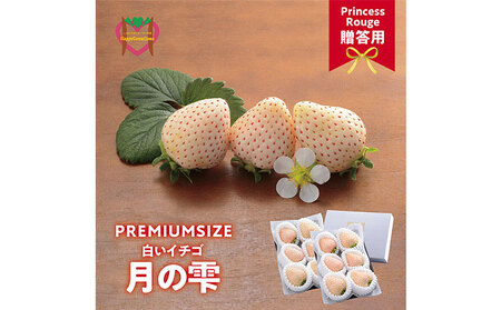 贈答用 白いちご～月のしずく～PREMIUM SIZE　いちご