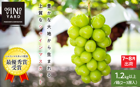 【2025年先行予約_7月上旬～発送】山梨県産早期出荷シャインマスカット １．2ｋｇ以上／箱　２～３房入 ALPAK010｜果物 フルーツ ぶどう シャインマスカット 贈答品