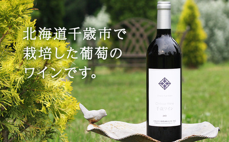 千歳ワイン2021（Chitose Wine）750ml 1本＜ ギフト箱 入 ＞　ワイン 酒 お酒 ギフト 千歳 北海道 2021