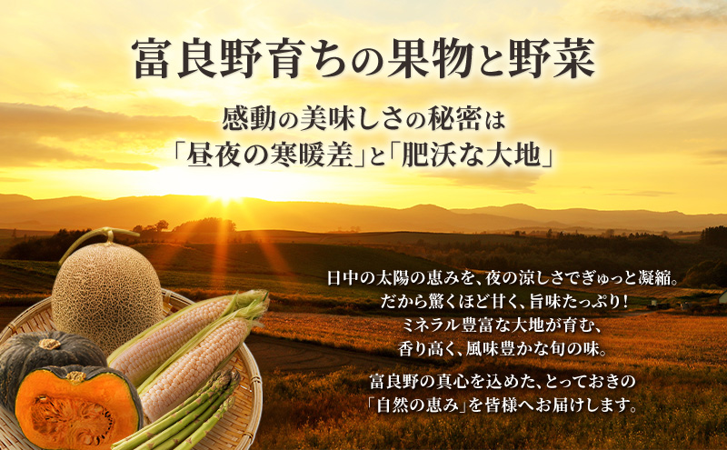 【先行予約】富良野メロン 赤肉 大玉 1玉（2.2kg以上）北海道 ふらのメロン フルーツ 果物 2027年発送