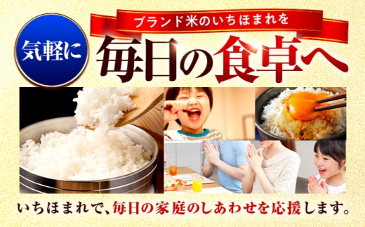 【7月発送】福井県産 いちほまれ 精米 10kg 県産ブランド米 / コメ 白米  米 小浜市 / 梅田東米穀店 [BFEK026]
