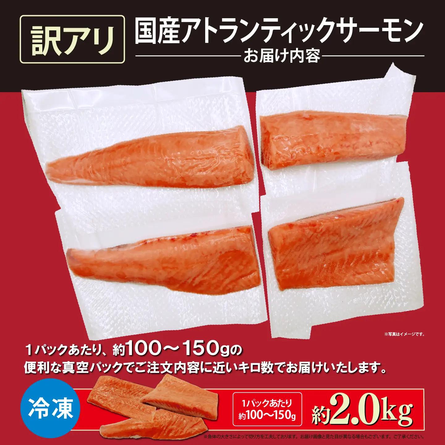 サーモン 訳あり 約2kg 国産サーモン