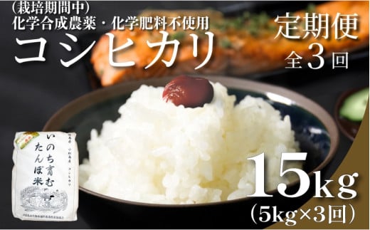 【令和7年産新米】 定期便 3回  米 コシヒカリ 計15kg 5kg × 3回 白米 お米 おこめ こめ 精米 ごはん 国産 限定 白飯 ご飯 精米したて ふるさと ランキング おいしい TKG 卵かけご飯 おにぎり おむすび 化学合成農薬不使用 いのち育む田んぼ米 生物多様性 送料無料 【北海道･東北･沖縄･離島への配送不可】  徳島県 小松島市