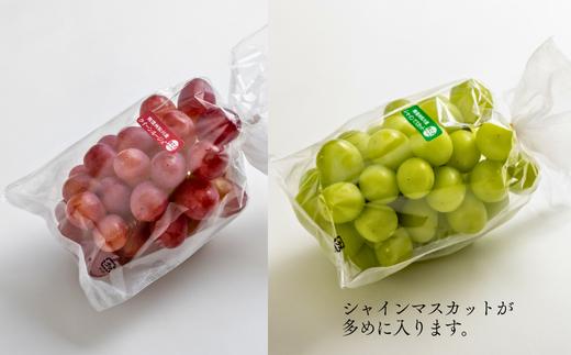 【家庭用】ぶどう2種セット（シャインマスカット／クイーンルージュ®）約2kg[TK36] ／ 2026年9月下旬～10月頃 配送予定//長野県 南信州 種なし 皮ごと 食べ比べ 詰め合わせ お試し 訳