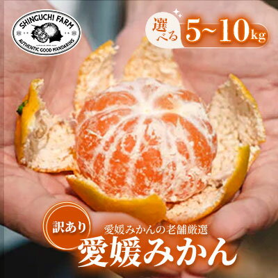 【ふるさと納税】【創業108年】愛媛みかんの老舗【訳あり みかん】 5kg / 8kg / 10kg_ みかん ミカン 蜜柑 訳あり 愛媛みかん 愛媛 えひめ 果物 くだもの フルーツ デザート おいしい かんきつ 柑橘 柑橘類 国産 愛媛県 八幡浜市 家庭用 【G1536340】