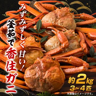ふるさと納税 養父市 兵庫県香住産 釜茹で香住ガニ(紅ズワイガニ)3〜4匹入(約2kg)