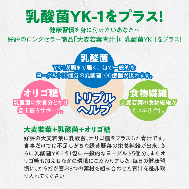 青汁 ドラッグストア売上No.1 乳酸菌プラス 大麦若葉100％ 山本漢方 徳用 60スティック　粉末 抹茶風味 無添加 健康食品 食物繊維