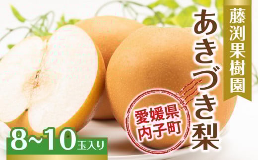 
藤渕果樹園のあきづき梨（2）【8～10玉入り】【フルーツ 果物 くだもの 食品 人気 おすすめ 送料無料】
