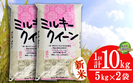 【栃木県共通返礼品・栃木県産】ミルキークイーン10kg（5kg×2袋） | 白米 精米 お米 ブランド米 栃木県 特産品