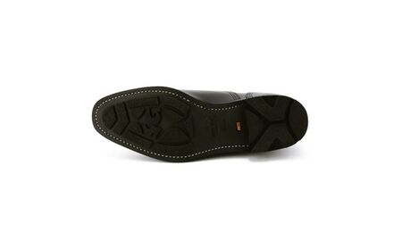 スコッチグレイン 紳士靴 「シャインオアレインIII」 NO.2720 メンズ 靴 シューズ ビジネス ビジネスシューズ ファッション 仕事用 パーティー フォーマル  25.5cm