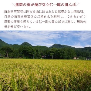 米 10kg 新潟県産 コシヒカリ 令和7年産 奥阿賀 仁一郎 5kg×2袋 | こしひかり 白米 精米 送料無料 お取り寄せ お米 