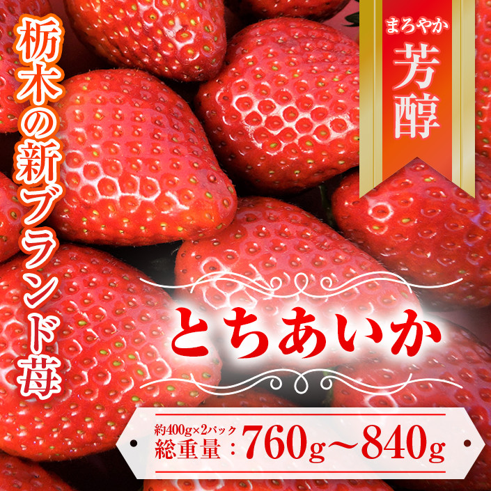 
            【先行予約】とちあいか 約380g～420g×2パック | いちご イチゴ 苺 栃木 とちあいか 新種 甘い 糖度 ハート型 フルーツ 果物 スイーツ いちごジャム ギフト 産地直送 ※離島への配送不可 ※2026年1月中旬～3月下旬頃に順次発送予定
          