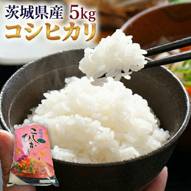 【ふるさと納税】茨城県産 コシヒカリ ( 選べる 内容量 ) 5kg 10kg 令和7年産 米 お米 コメ 白米 こしひかり 茨城県 新生活 応援