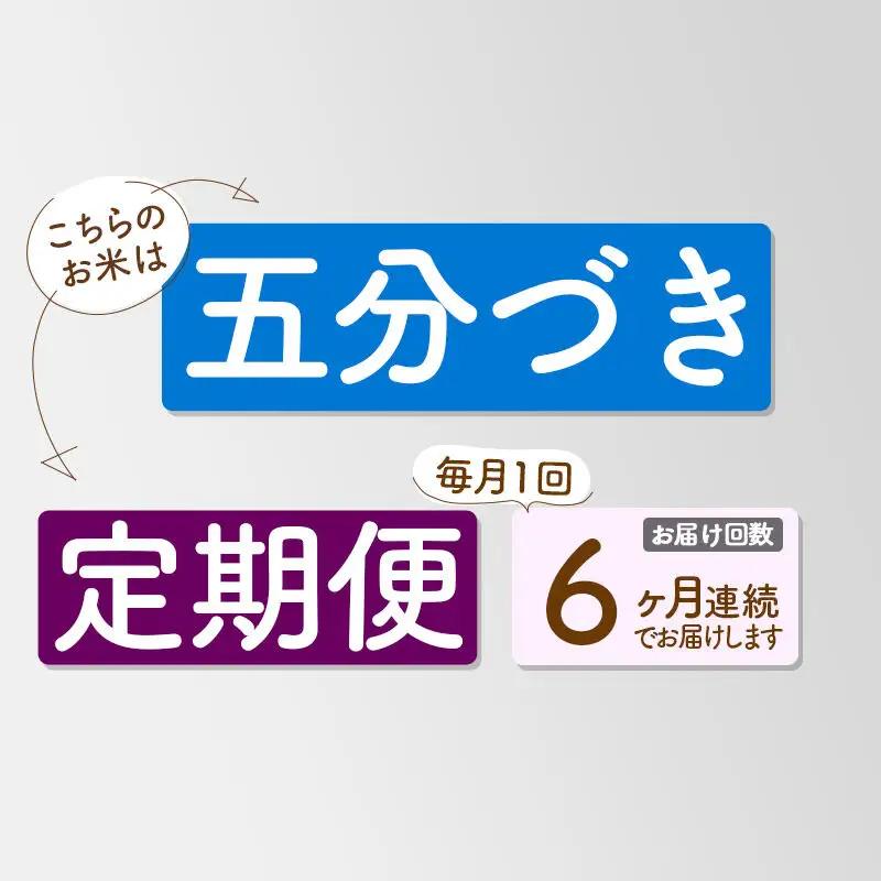 《定期便6ヶ月》【5分搗き】あきたこまち 5kg 秋田県産 令和7年産 こまちライン