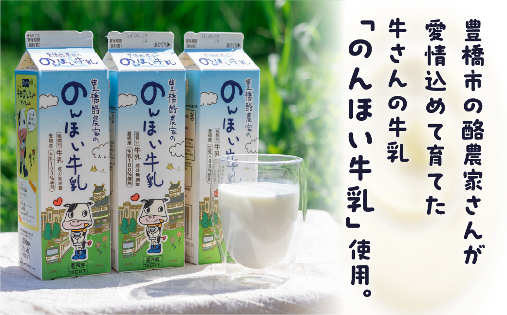 豊橋うまれののんちゃんあいす3個×4パックセット