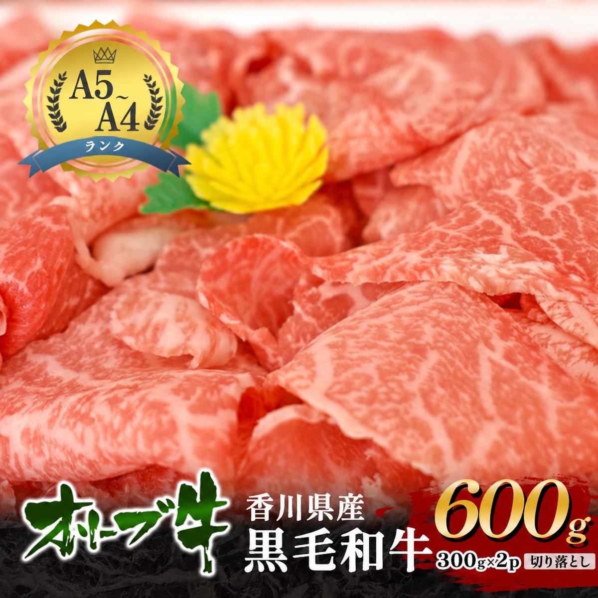 「香川県産黒毛和牛」オリーブ牛切り落とし600g(300g×2p) 牛肉 肉 お肉 和牛 香川 香川県 東かがわ市