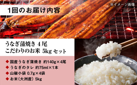 【全3回定期便】国産うなぎ！秘伝のタレで焼き上げた「うなぎ蒲焼き 4尾」と地元生産者こだわりの「お米 5kg」セット　愛媛県大洲市/有限会社 樽井旅館[AGAH009]国産うなぎうなぎ蒲焼きお米国産う