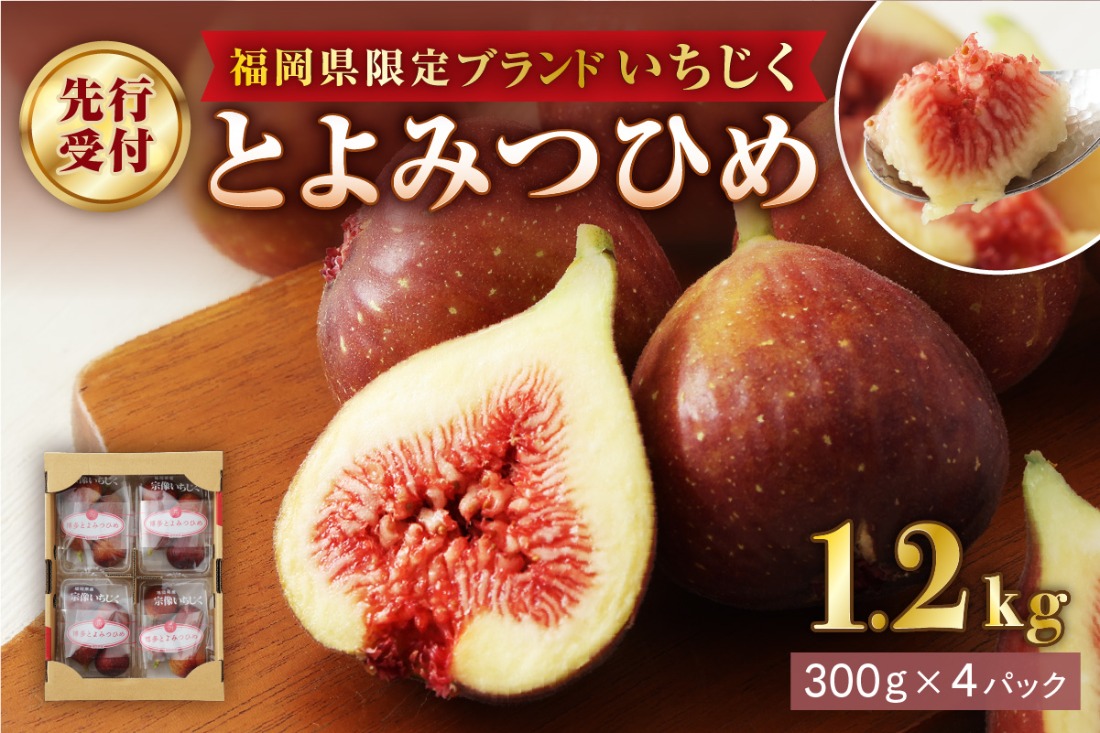【寄附額改定！】プレミアムいちじく とよみつひめ　1.2kg【JAほたるの里】_HA0278
