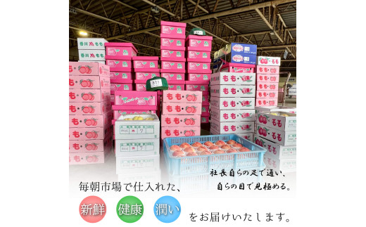 【2026年11月上旬より順次発送】【極撰】温州みかん 約 5kg フルーツ 果物 柑橘 柑橘類 デザート おやつ 旬 産地直送 冬の味覚 旬の果物 旬のフルーツ お取り寄せ 取り寄せ 送料無料 みか