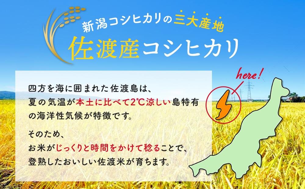 無洗米5kg 新潟県佐渡産コシヒカリ5kg×6回「6カ月定期便」