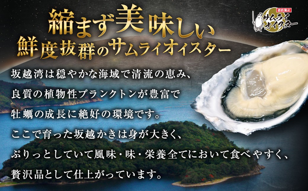 坂越かき 殻付き 30個（牡蠣ナイフ・軍手付き）