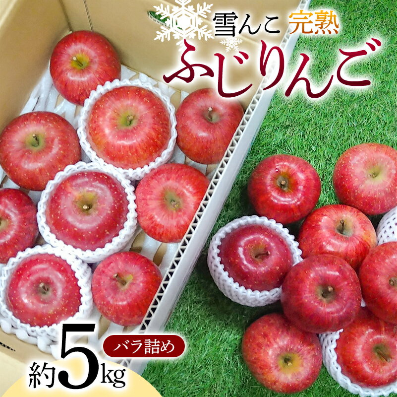 【ふるさと納税】【令和8年産先行予約】 雪んこ 完熟ふじりんご 約5kg バラ詰め 《令和9年1月中旬～発送》 【全国りんご選手権 銀賞】 『船中農園』 林檎 リンゴ 果物 フルーツ デザート 山形県 南陽市 [1848]