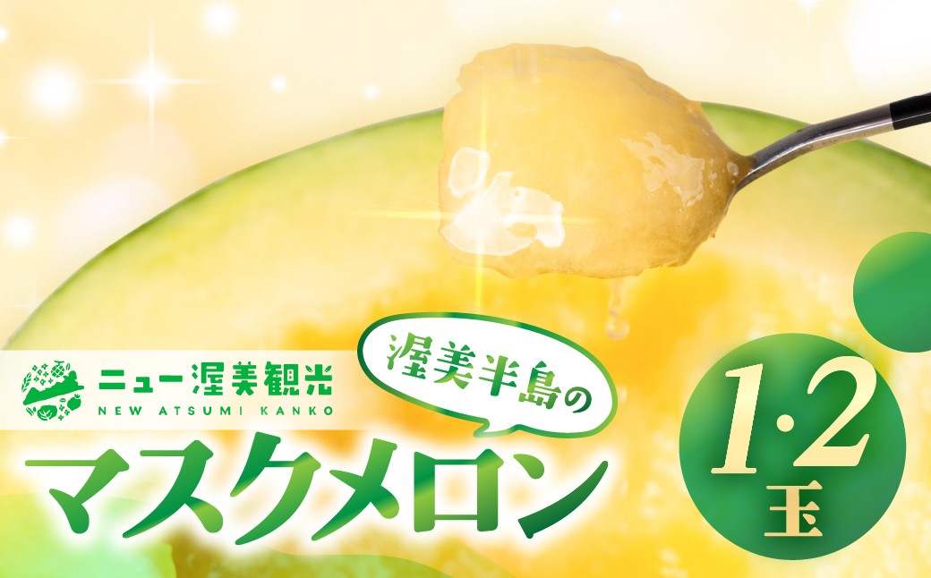 
            【先行予約】マスクメロン 1玉・2玉 （1玉 1.5kg 以上 ）メロン めろん マスクメロン フルーツ 果物 愛知県 田原市 渥美半島 お取り寄せ スイーツ ギフト 贈り物 プレゼント 贈答 贈答用 ニュー渥美 観光 1玉 2玉
          