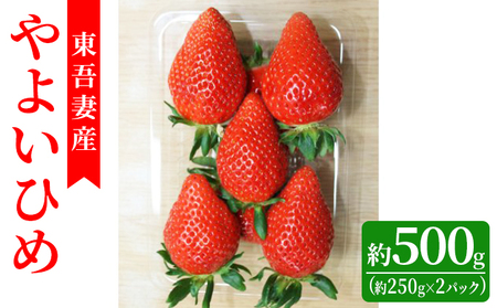 【東吾妻町産】いちご やよいひめ 約250g×2パック 果物 ストロベリー フルーツ デザート 甘味が強い 酸味まろやか 国産 直送 産地直送 おやつ 口当たりが良い 